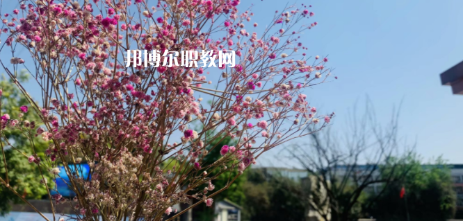 成都華大醫(yī)藥衛(wèi)生學校怎么樣、好不好