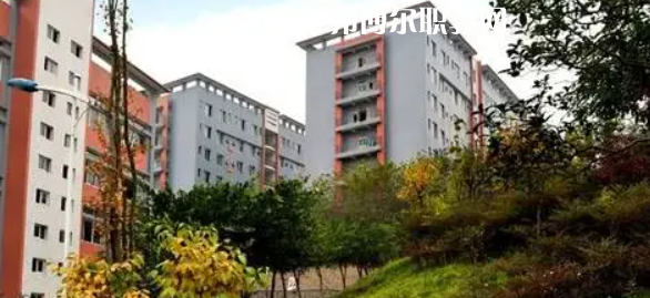 四川市綿竹職業(yè)中專學(xué)校2022年報(bào)名條件、招生要求、招生對象