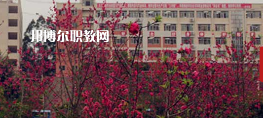 岑溪市中等專業(yè)學(xué)校2022年報(bào)名條件、招生要求、招生對象