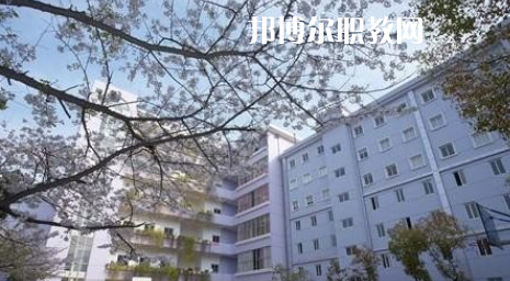 武漢體育舞蹈藝術(shù)學(xué)校2022年怎么樣、好不好