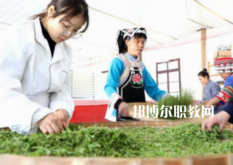 福建2023年女生讀中專(zhuān)學(xué)校學(xué)什么專(zhuān)業(yè)好