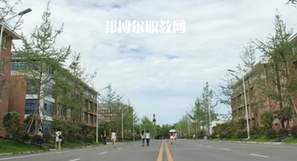成都高職?？圃盒Ｅ琶?8強