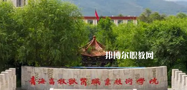 青海高職?？拼髮W(xué)2023年排名(文科)