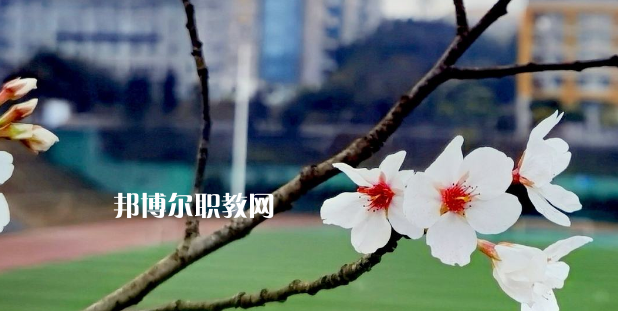 2023眉山技師學院招生計劃 招生人數(shù)是多少(附要求、條件、對象)