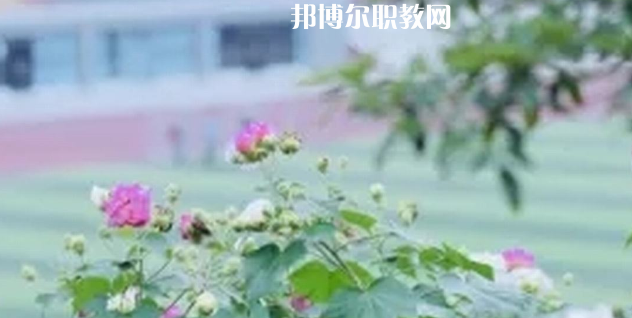 眉山技師學(xué)院地址在哪里，哪個地區(qū)，哪個城市?