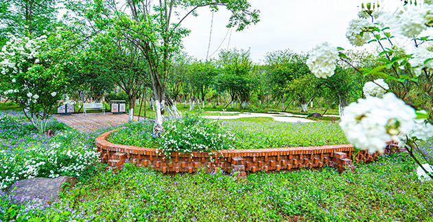 重慶望江技工學(xué)校地址在哪里，哪個(gè)地區(qū)，哪個(gè)城市?