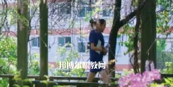 2023金華市成功學(xué)校招生計劃 招生人數(shù)是多少(附要求、條件、對象)