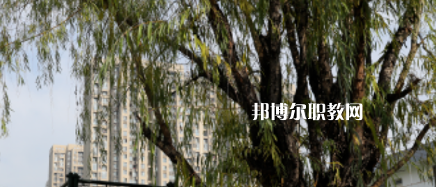西安東方藝術職業(yè)學校地址在哪里，哪個地區(qū)，哪個城市?