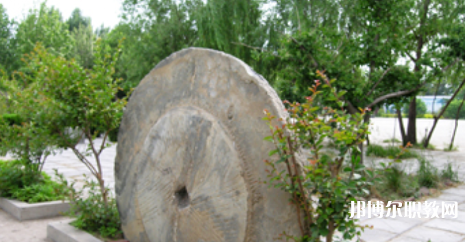 野風(fēng)美術(shù)中學(xué)怎么樣、好不好