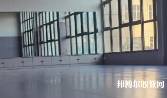 2023秦皇島市藝新舞蹈學(xué)校招生計劃 招生人數(shù)是多少(附要求、條件、對象)