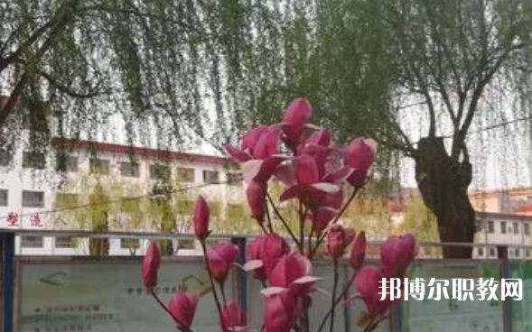 2023柏鄉(xiāng)縣職教中心招生計(jì)劃 招生人數(shù)是多少(附要求、條件、對(duì)象)