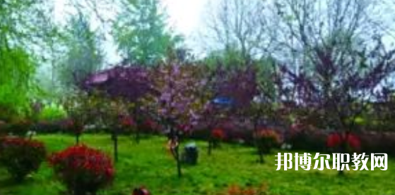 2023隆堯縣職業(yè)技術(shù)教育中心招生計(jì)劃 招生人數(shù)是多少(附要求、條件、對(duì)象)