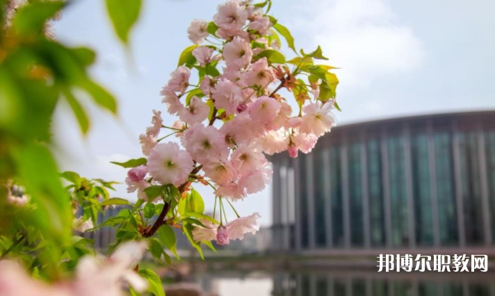 河南藝術(shù)職業(yè)學院中專部怎么樣、好不好