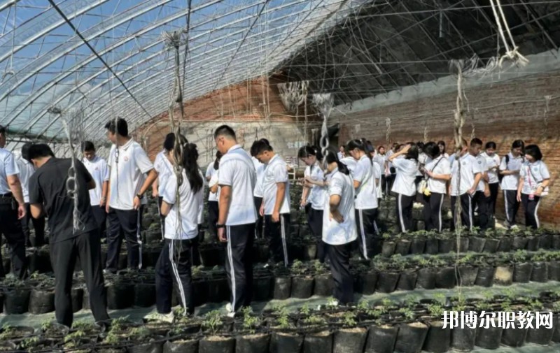 2024營(yíng)口市農(nóng)業(yè)工程學(xué)校招生計(jì)劃 招生人數(shù)是多少(附要求、條件、對(duì)象)