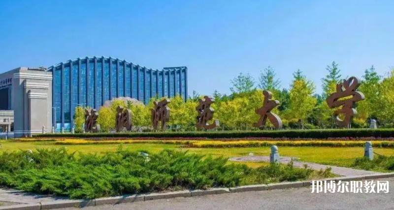 沈陽師范大學(xué)附屬藝術(shù)學(xué)校招生簡(jiǎn)章2025年