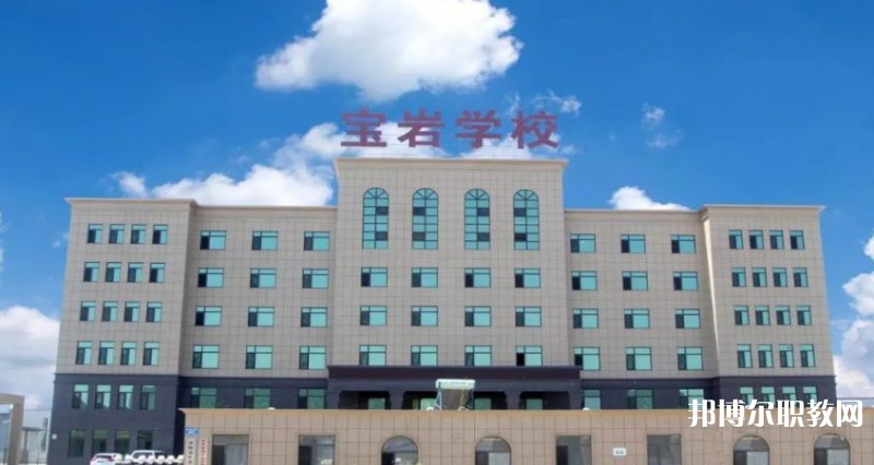 2025沈陽(yáng)寶巖藝術(shù)學(xué)校招生計(jì)劃 招生人數(shù)是多少(附要求、條件、對(duì)象)