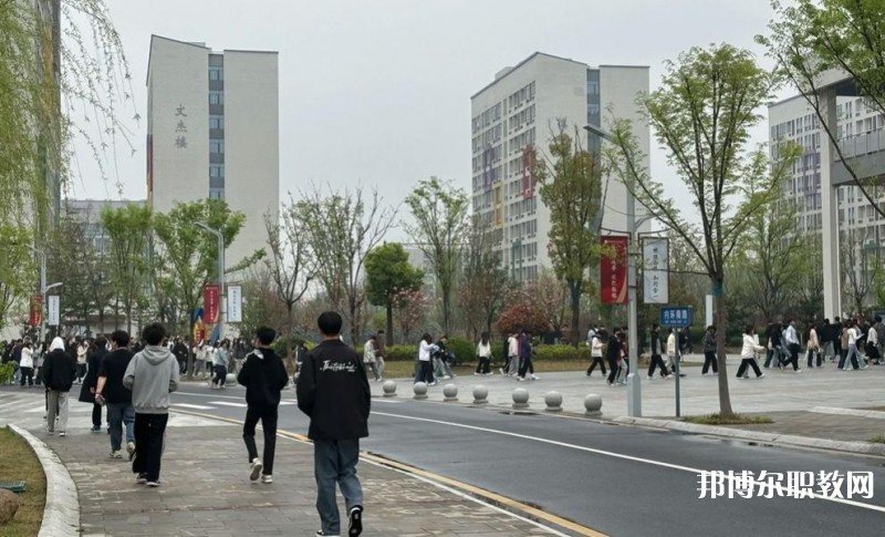 2025合肥技師學院招生計劃 招生人數(shù)是多少(附要求、條件、對象)