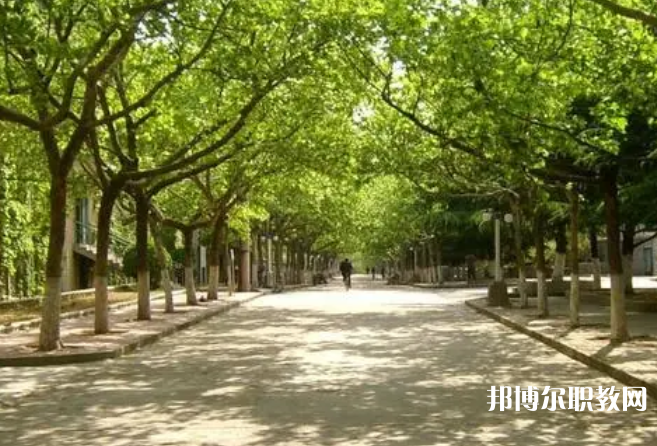 成都2025年讀鐵路學(xué)?？梢钥即髮W(xué)嗎